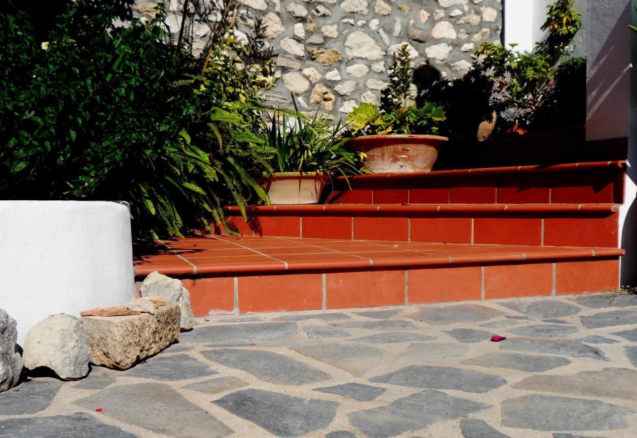 Charming House Ideal For Couples And Young Familie Tárbena Dış mekan fotoğraf