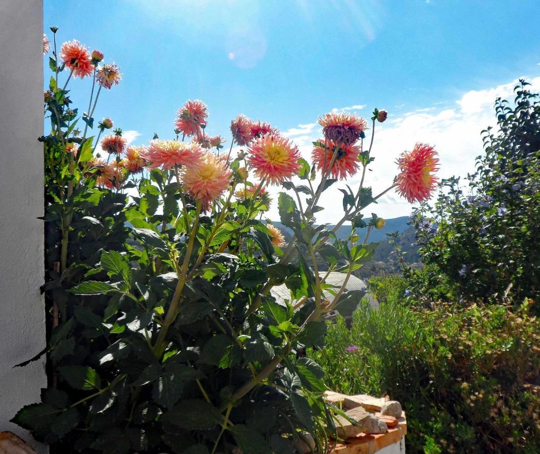 Charming House Ideal For Couples And Young Familie Tárbena Dış mekan fotoğraf