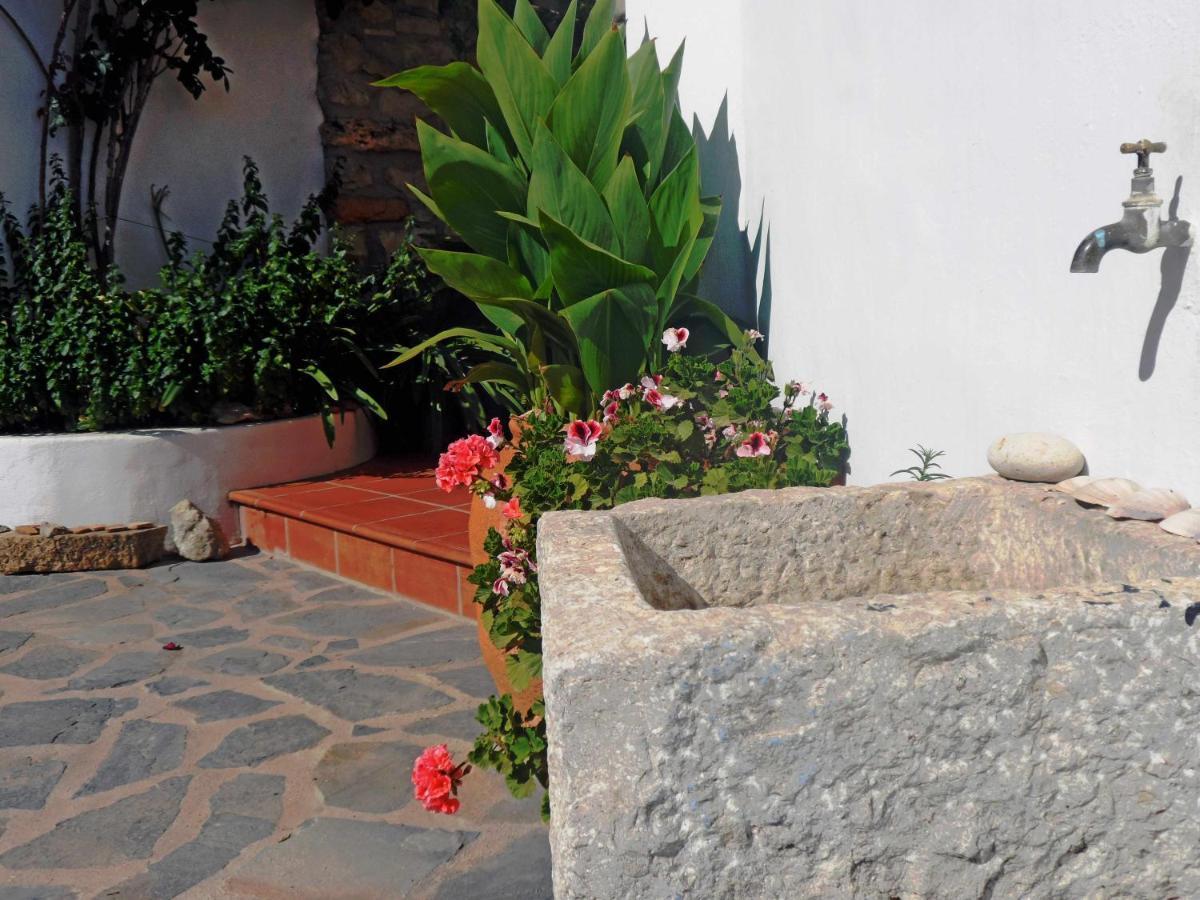 Charming House Ideal For Couples And Young Familie Tárbena Dış mekan fotoğraf